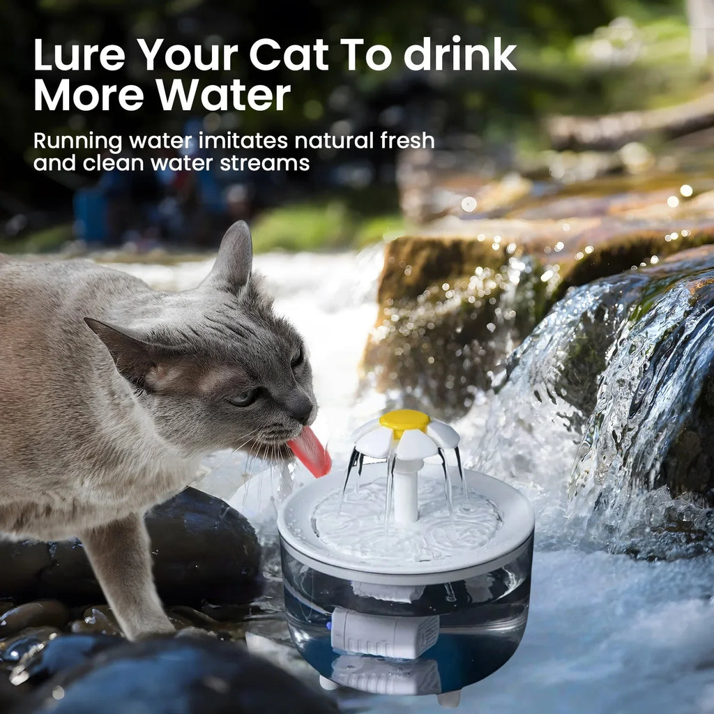 Pet Water Fountain with 4 Filters