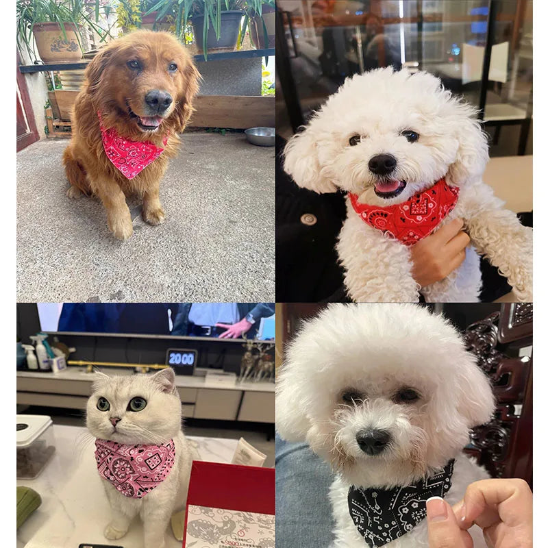 Cat / Dog Scarf Bandana Washable
