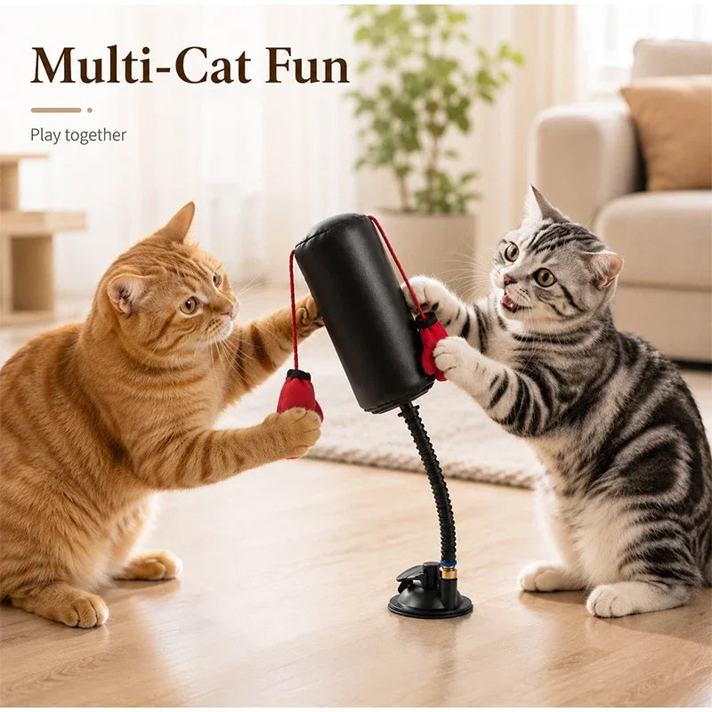 Spring-Mounted Boxing Toy for Cats