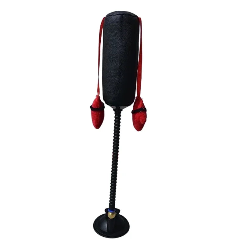 Spring-Mounted Boxing Toy for Cats