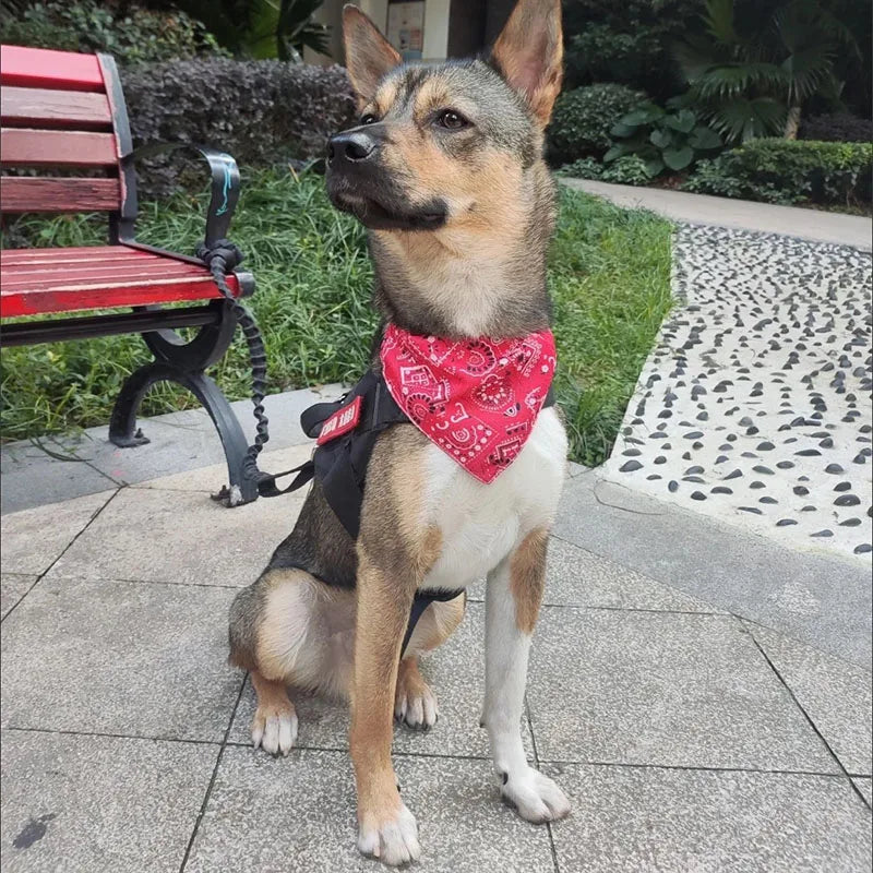 Cat / Dog Scarf Bandana Washable