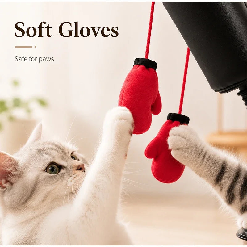 Spring-Mounted Boxing Toy for Cats